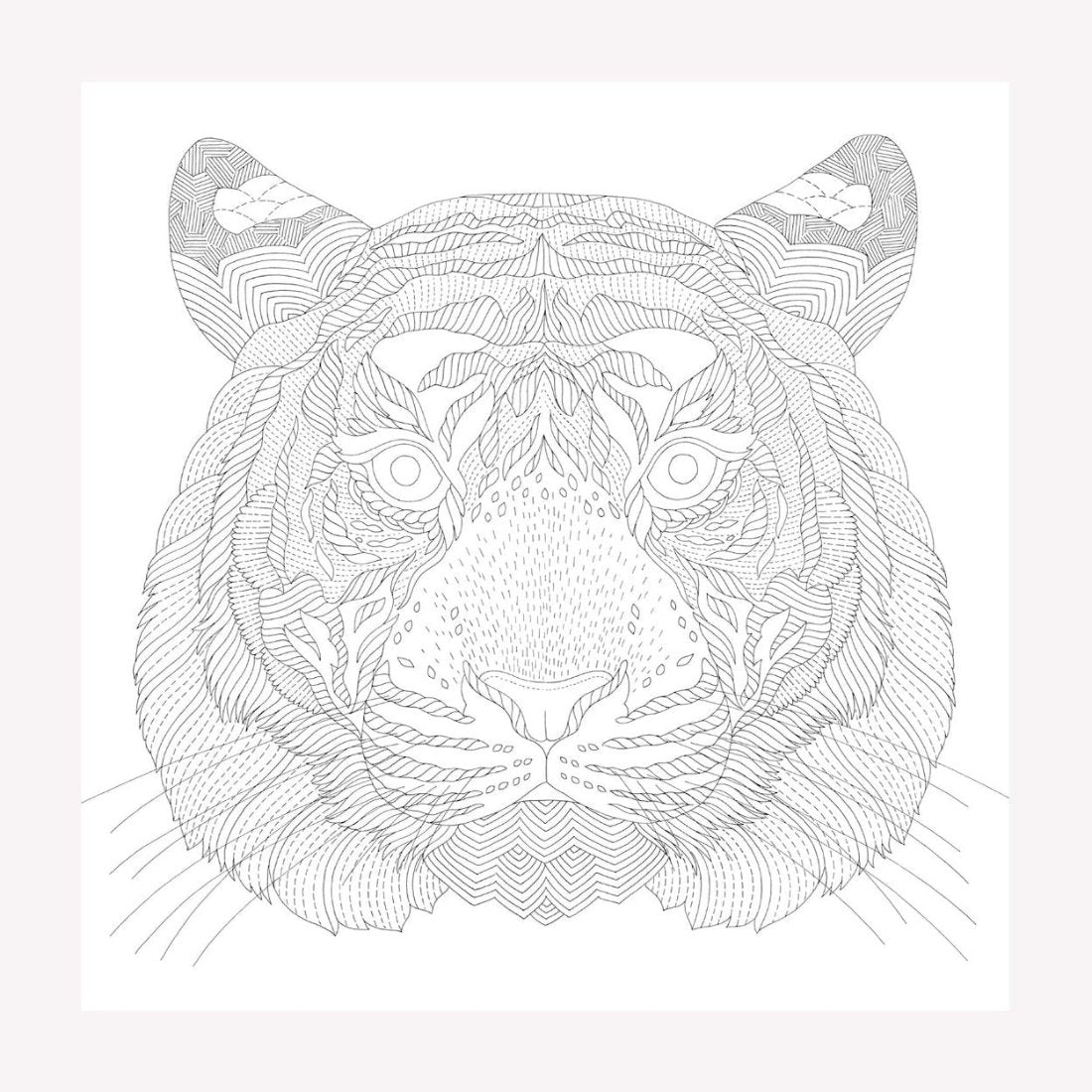 Inside Millie Marotta's Animal Adventures colouring book. This page features an illustration of a Bengal tiger.