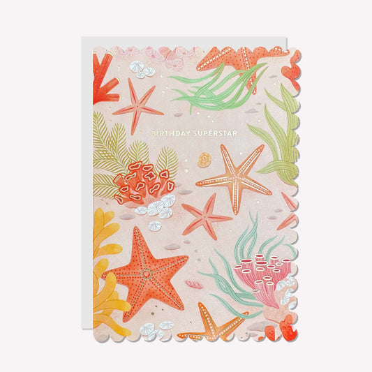 An illustrated birthday card by Raven Paper Co, printed by Ricicle Cards. This card features a pattern of starfish, coral and seaweed with gold-foiled text above that reads “Birthday Superstar".