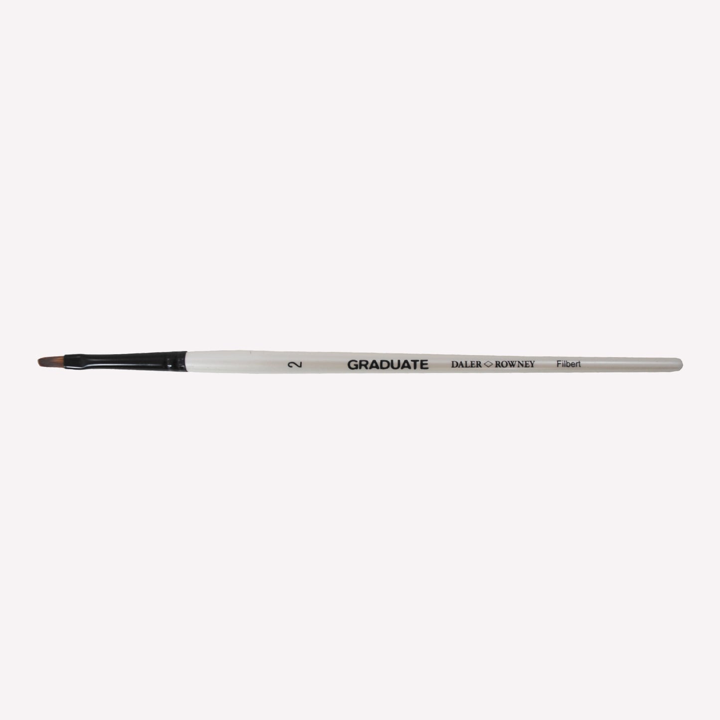 Daler-Rowney Graduate Filbert brushes with oval synthetic filaments, a white handle and a black ferrule, in size2.