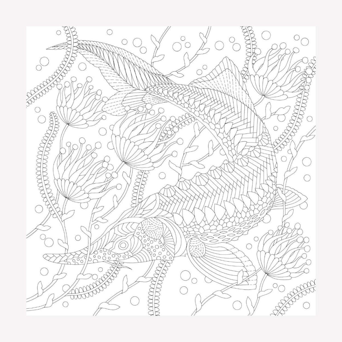 Inside Millie Marotta's Precious Planet colouring book. This page features an illustration of a fish underwater.